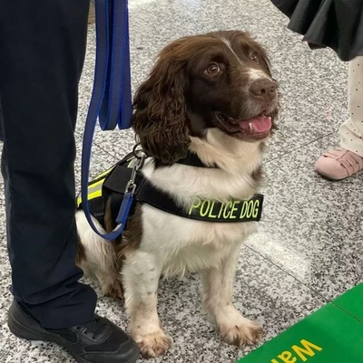 中国杭州の地下鉄駅に誇り高き警察犬が出現