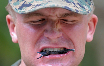 サソリ食べ、コブラの血飲むサバイバル訓練 日本も参加の6か国合同軍事演習