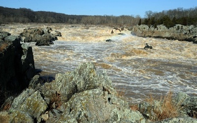 米東部河川の3分の2がアルカリ化、酸性雨が原因 研究
