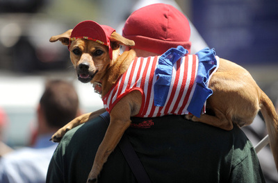 動物は「調度品」ではなく「感情ある生き物」、仏議会