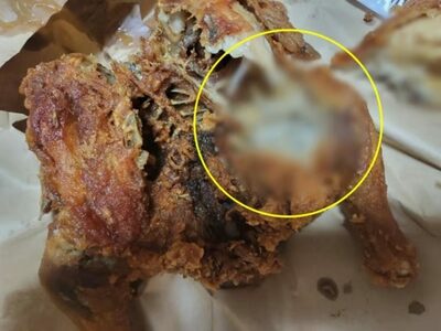 韓国・なぜチキンに“白い物体”が？鶏肉に留まったハエのため？