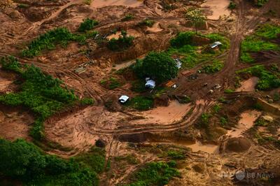 ブラジルの森林破壊、6年ぶりに鈍化 報告書
