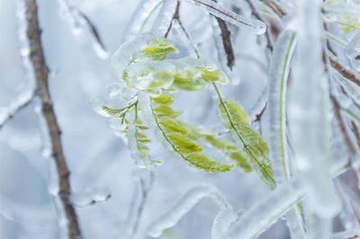 自然が作ったガラス細工 江西・盧山