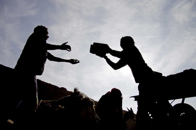 世界初、人の尿かられんが作製 南ア大学