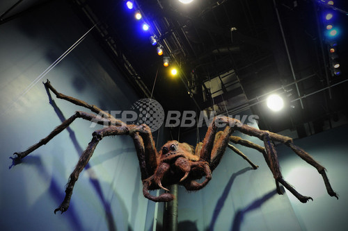 ハリー ポッター スタジオがオープン セットや衣装を展示 写真36枚 ファッション ニュースならmode Press Powered By Afpbb News