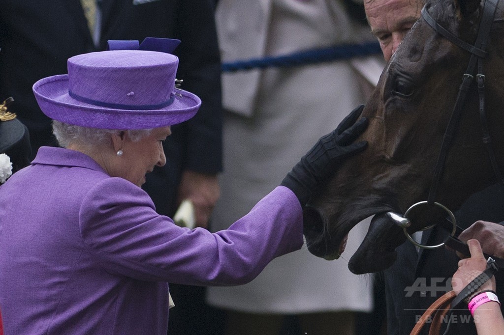 英エリザベス女王所有の競走馬から薬物の陽性反応 英エリザベス女王所有の競走馬から薬物の陽性反応