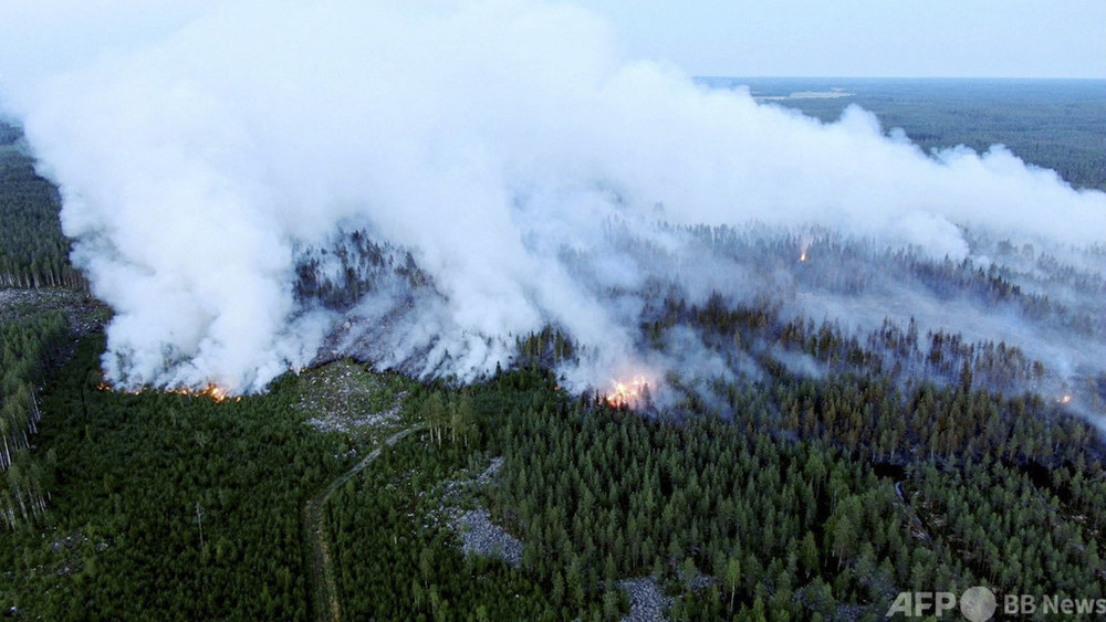 フィンランド、50年で最大規模の山火事発生