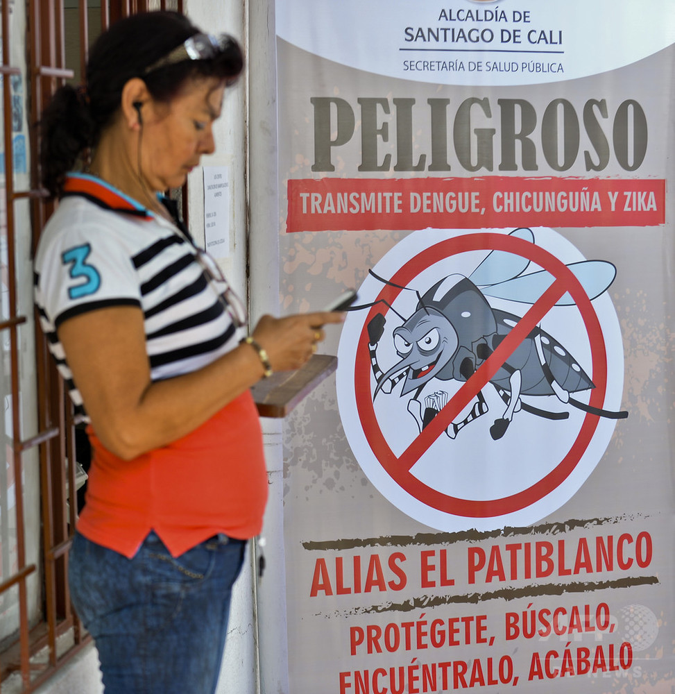 ジカ熱 妊娠初期の感染で小頭症リスク最大13 に 研究 写真1枚 国際ニュース Afpbb News