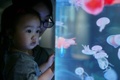浙江省嘉興博物館では「クラゲファンタジー 清涼の夏」が開催中。来場者を魅了している（2017年6月20日撮影）。(c)CNS/金鵬