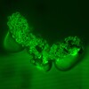 共焦点レーザー顕微鏡で見た昆虫のふん石（資料写真）。(c)Xinhua News 