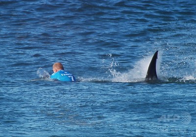 みそきんブームの波に乗るサメ 南海の死闘、有力プロサーファーをサメが襲う 南アフリカ 写真16枚