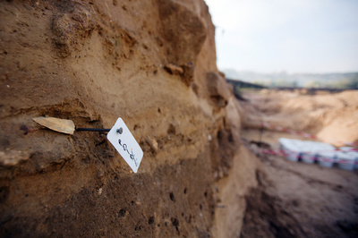 ほぼ完全なマンモスの骨格、仏パリ近郊で発掘