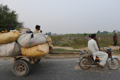 「作物の廃棄と輸送手段の発展」