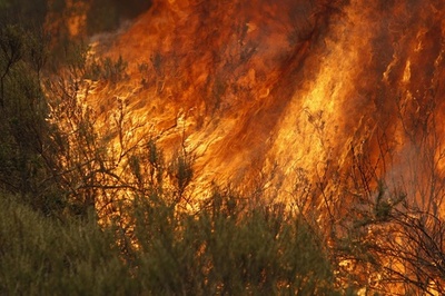 カリフォルニア南部の山火事、1万3000世帯に避難命令
