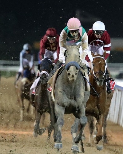 アロゲートがドバイWC制覇、スタート出遅れるも格の違い示す