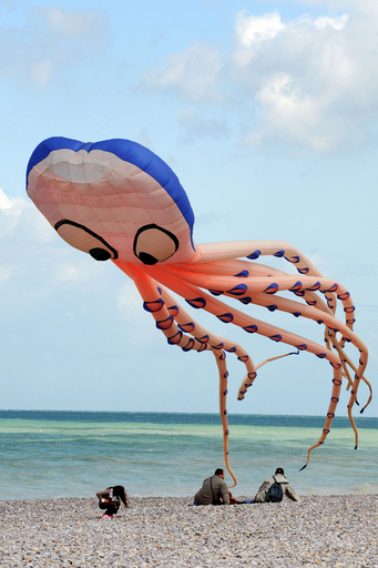 第15回国際たこ揚げ大会、仏の空に世界のたこが乱舞