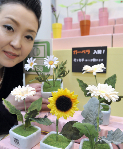 寂しい日本人を癒す不思議な植物、セガトイズ