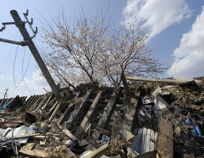 被災した駅に咲く満開の桜、東松島市・東名駅