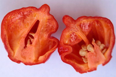 世界一辛い唐辛子で「雷鳴のような激しい頭痛」 注意呼びかけ