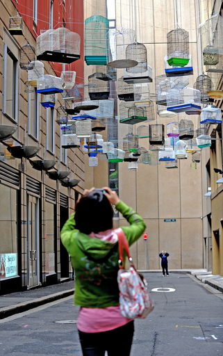 ケージから聞こえるのは鳥の「さえずり」、オーストラリア・シドニー