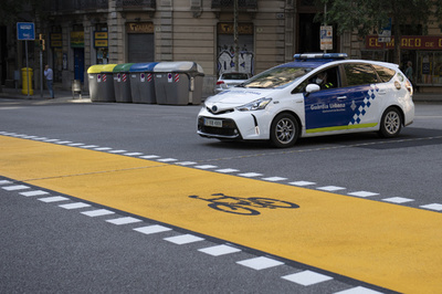 密儀でヒキガエルの毒用い男性死亡、ポルノ男優を逮捕 スペイン