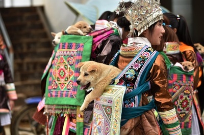 娘らが子犬を背負って100軒の家を回る 貴州・従江の新米祭り