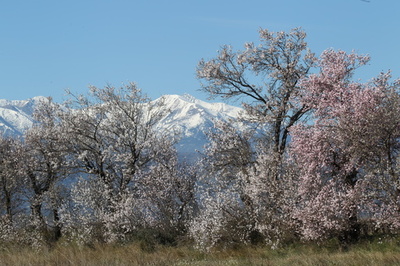 辺境の山地にもマイクロプラスチック、大気中を浮遊