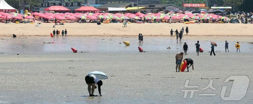 干潮時間を迎えた韓国・仁川市中区の乙旺里海水浴場(c)news1
