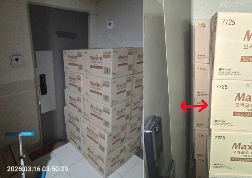 スレッド(c)news1