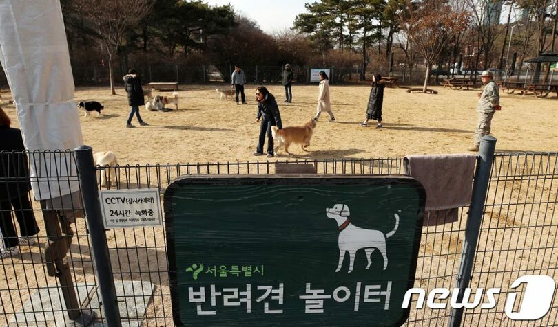 ソウル市ワールドカップ公園のドッグランで遊ぶ犬(c)news1