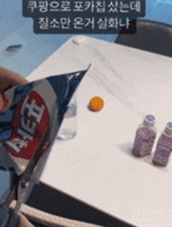 SNSキャプチャー(c)NEWSIS