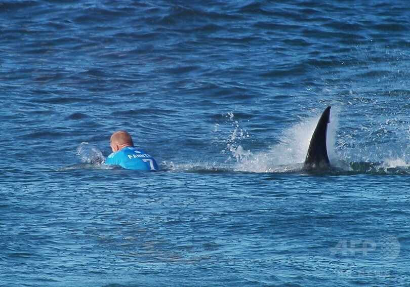 サメから危機一髪で逃れたサーファーの母 恐怖を語る 写真1枚 国際ニュース Afpbb News