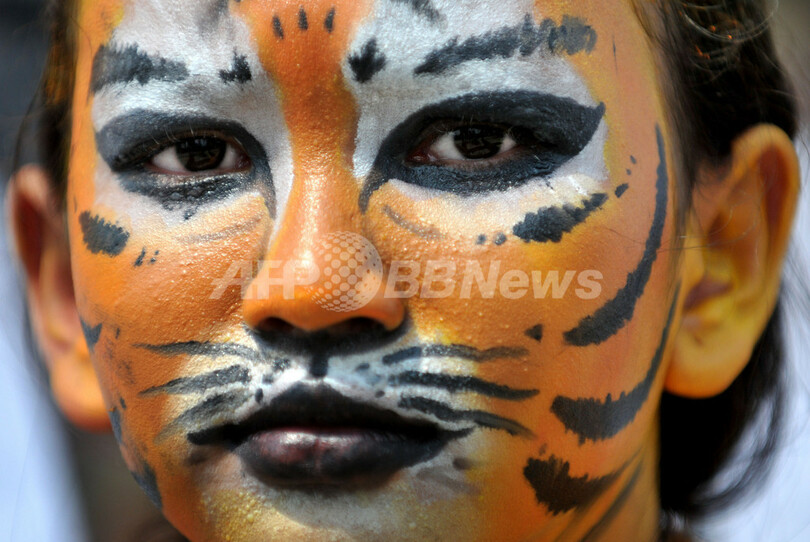 野生生物保護団体、トラにふんしてデモ インドネシア