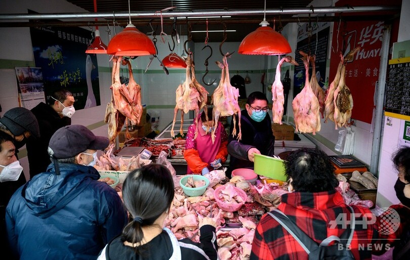 新型コロナウイルス、感染者が確認された国と地域（13日19時20分現在）