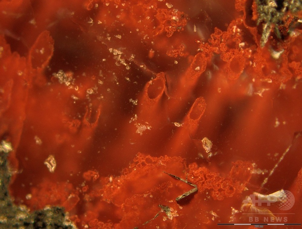地球最古の化石発見、約40億年前の生命の痕跡 写真4枚 国際ニュース
