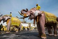 タイ・バンコクの旧市街にある王宮近くで、ワチラロンコン国王に敬意を表すための行進に参列する象（2019年5月7日撮影）。(c)Jewel SAMAD / AFP