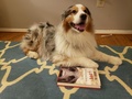 動物心理学者クライブ・ウィンの著作「Dog is Love: Why and How Your Dog Loves You」の横で伏せをする犬。米首都ワシントンで（2020年1月20日撮影）。(c)Issam AHMED / AFP