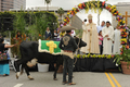 イエス・キリストの復活を祝うキリスト教の宗教行事「復活祭（Easter）」の前日にあたる11日、カリフォルニア（California）州ロサンゼルス（Los Angeles）でロジャー・マホーニー（Roger Mahony）枢機卿から祝福の聖水を振りかけてもらうウシ。動物たちが人間の役に立っていることへのお礼として行われる動物への祝福は、復活祭前日の恒例行事となっている。一番人間の役に立っているとして、ウシが一番最初に祝福を受けることになっている（2009年4月11日撮影）。(c)AFP/Robyn BECK
