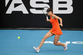 テニス、ASBクラシック、女子シングルス決勝。リターンを打つレベカ・マサロワ（2023年1月8日撮影）。(c)DAVID ROWLAND / AFP