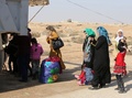 イラク西部ファルージャ（Fallujah）を逃れ、カルバラ（Karbala）州に入るための軍検問所に並ぶ女性や子どもたち（2014年1月6日撮影）。(c)AFP/AHMAD AL-RUBAYE