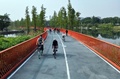 天府緑道を自転車で走っている成都市民（2022年10月18日撮影、資料写真）。(c)CNS/王磊