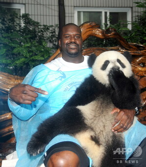 写真特集】愛くるしい世界のパンダ AFP収蔵写真から厳選 写真55枚 国際