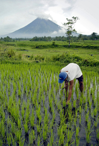 「稲作」も地球温暖化を促進する？