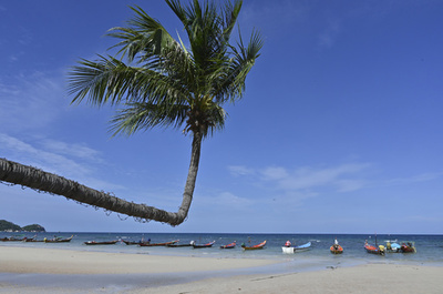 トリップアドバイザーに悪評投稿、ホテルが客訴える タイ