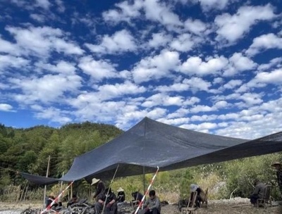 始祖鳥の時代に近い地層から翼竜発見、「奇異福建竜」と命名 中国