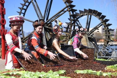 イナゴやヤゴの珍味、無料で味見 雲南・麗江の昆虫宴 