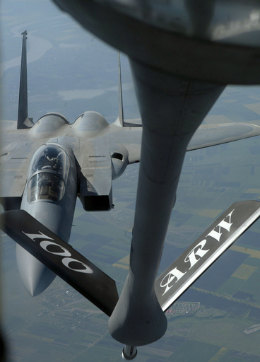 米国とルーマニアが合同軍事演習を実施 - ルーマニア