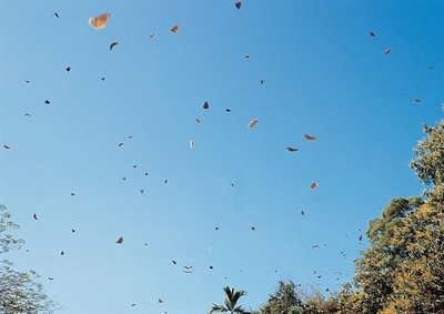 台湾政府、製鉄会社にCO2排出料の支払いを命じる