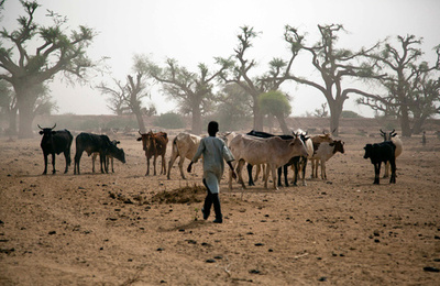スーダン・ダルフール地方で戦闘、部族間抗争が激化