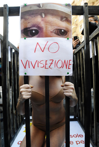 伊女優、檻の中から動物の生体解剖に抗議